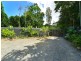 282 MOSSMAN-MT MOLLOY RD, Cassowary QLD 4873