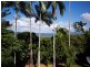 47 MURPHY STREET, Port Douglas QLD 4877