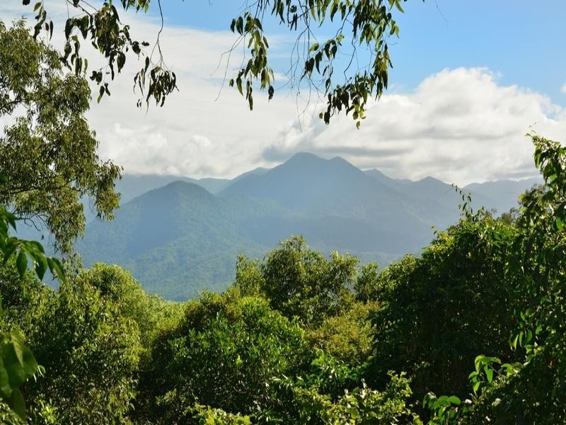 LOT 1 COLENSO RD, Port Douglas QLD 4877