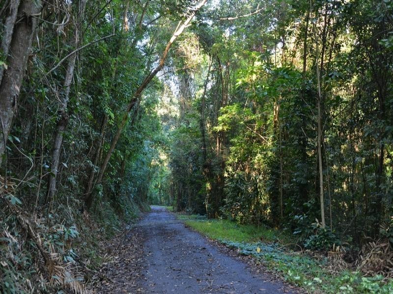 LOT 1 COLENSO RD, Port Douglas QLD 4877
