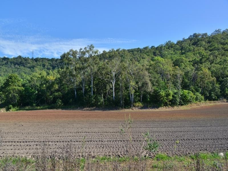 LOT 1 COLENSO RD, Port Douglas QLD 4877