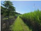 LOT 1 COLENSO RD, Port Douglas QLD 4877