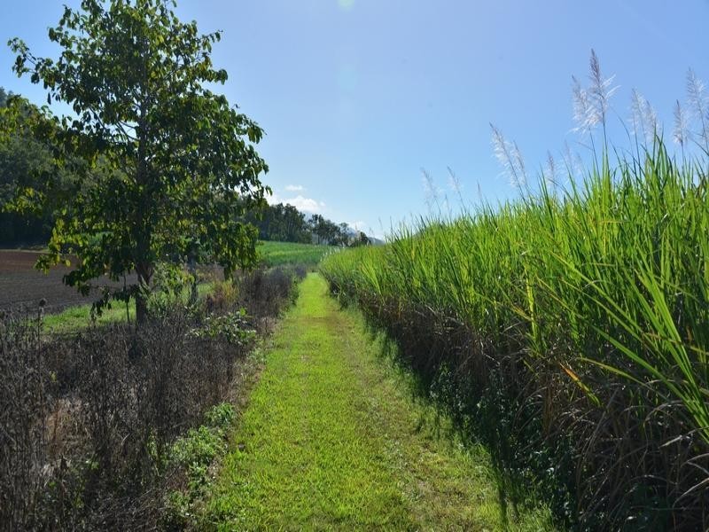 LOT 1 COLENSO RD, Port Douglas QLD 4877