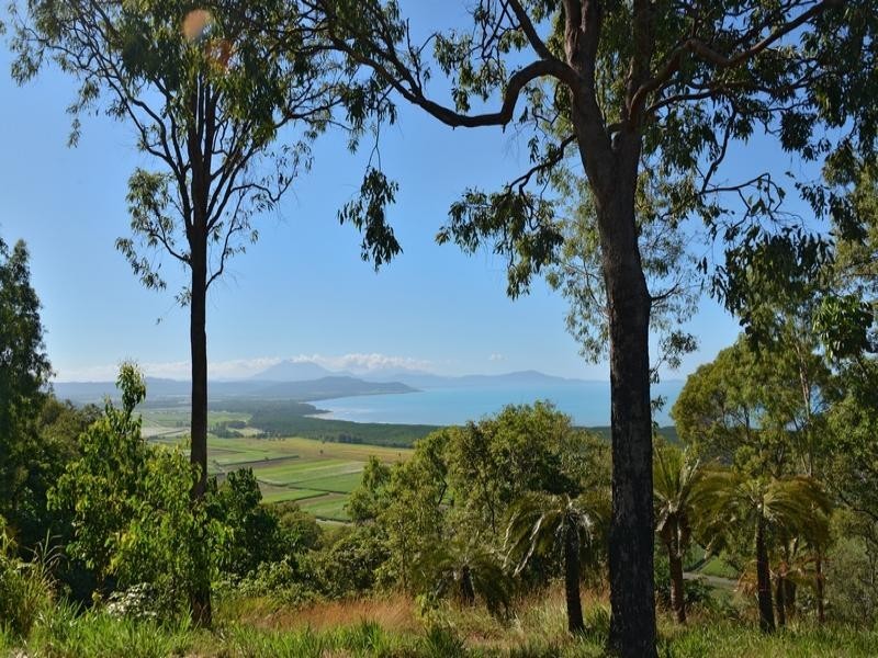 LOT 1 COLENSO RD, Port Douglas QLD 4877