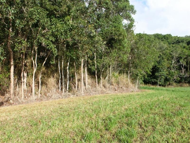 Lot 12 Thomson Low Drive, Shannonvale QLD 4873
