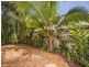 7/32-34 Mudlo St, Port Douglas QLD 4877