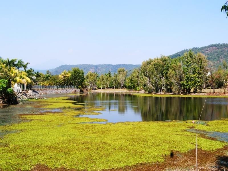 Lot 19 THE LAKE, Port Douglas QLD 4877