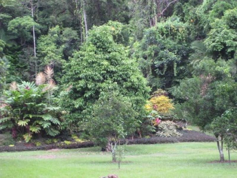 1299 Mossman-Daintree Rd, Rocky Point QLD 4873