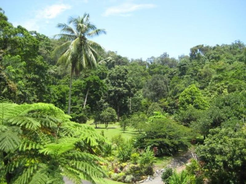 1299 Mossman-Daintree Rd, Rocky Point QLD 4873