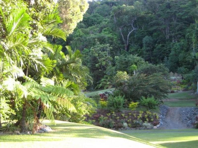 1299 Mossman-Daintree Rd, Rocky Point QLD 4873