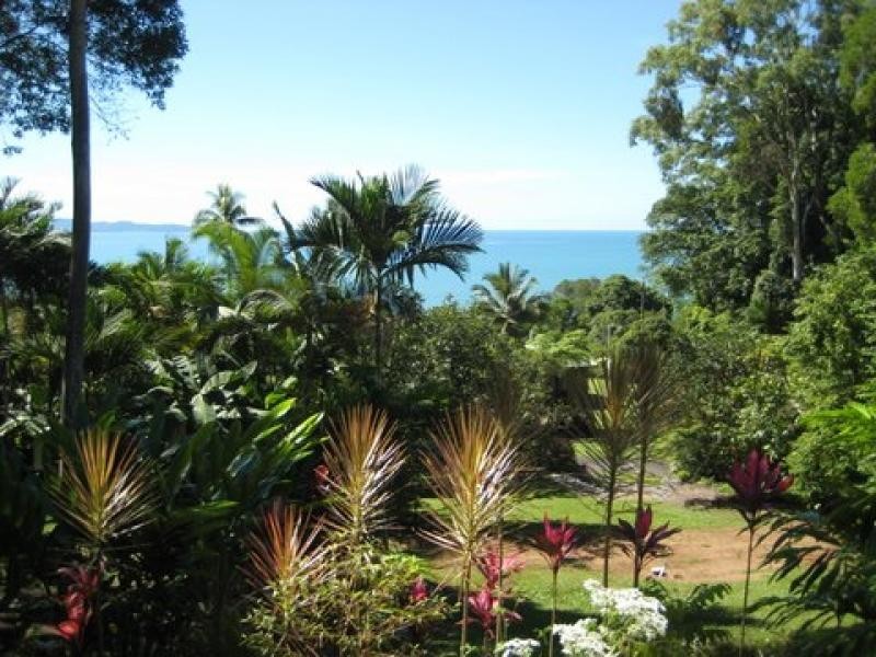 1299 Mossman-Daintree Rd, Rocky Point QLD 4873