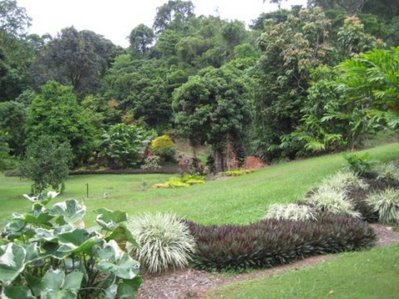 1299 Mossman-Daintree Rd, Rocky Point QLD 4873