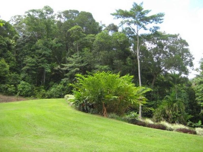 1299 Mossman-Daintree Rd, Rocky Point QLD 4873