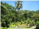 1299 Mossman-Daintree Rd, Rocky Point QLD 4873