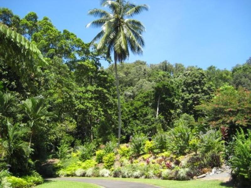 1299 Mossman-Daintree Rd, Rocky Point QLD 4873