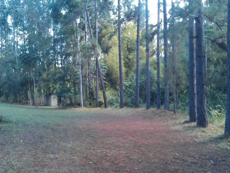 138 EULUMA CREEK RD, Julatten QLD 4871