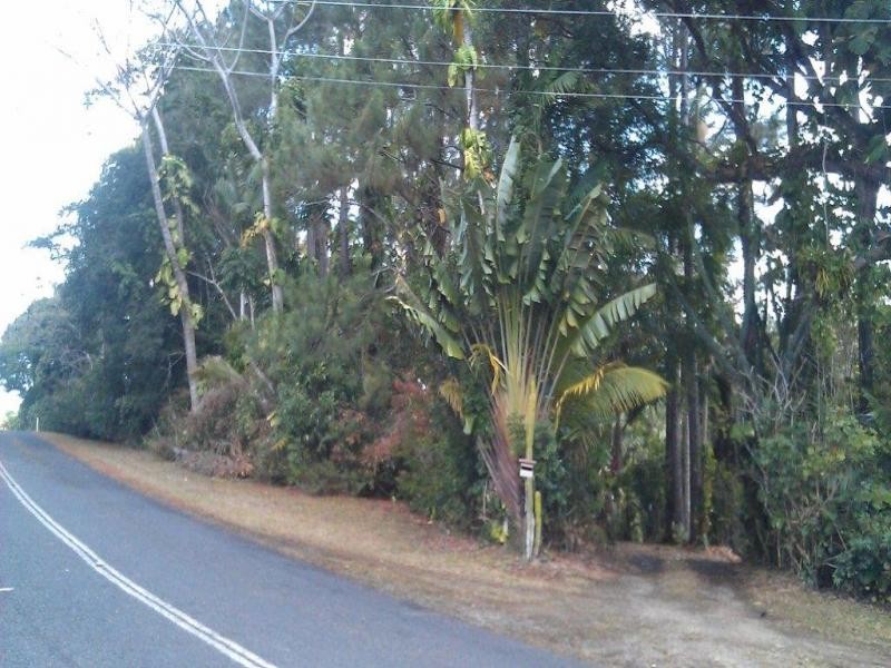 138 EULUMA CREEK RD, Julatten QLD 4871