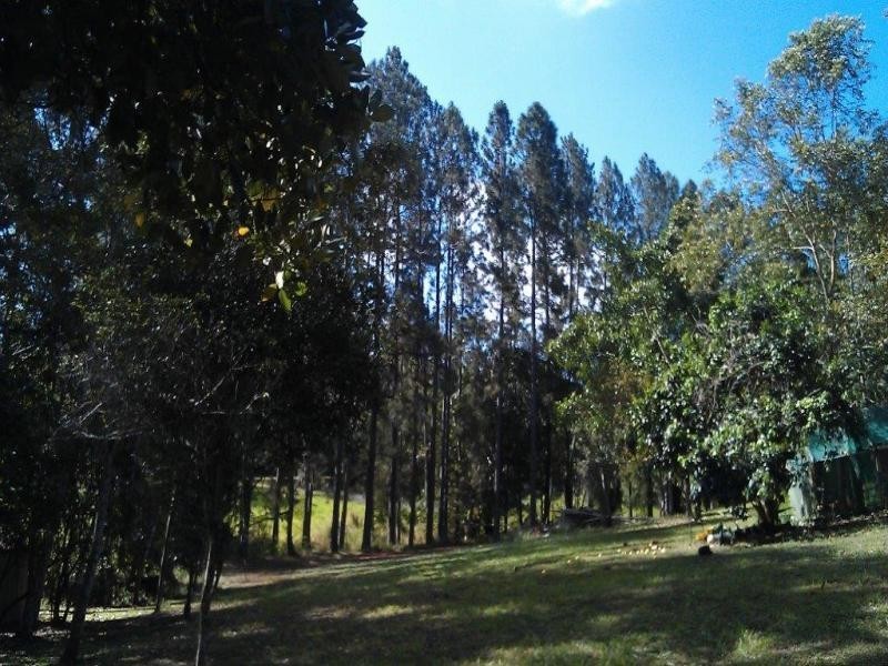 138 EULUMA CREEK RD, Julatten QLD 4871