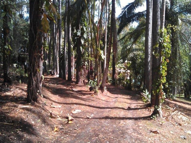 138 EULUMA CREEK RD, Julatten QLD 4871