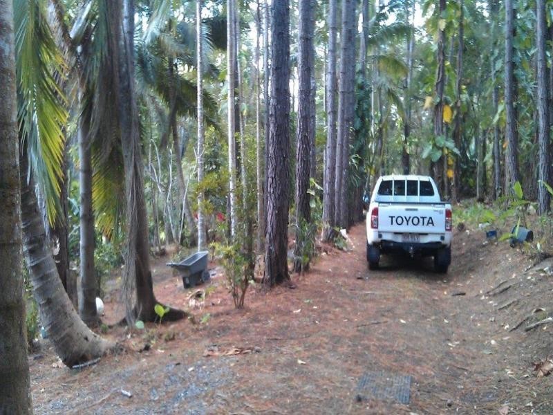 138 EULUMA CREEK RD, Julatten QLD 4871