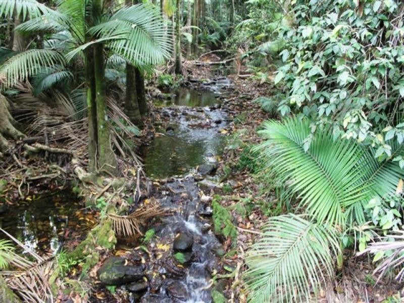 2-3 Santacatterina Rd, Miallo QLD 4873