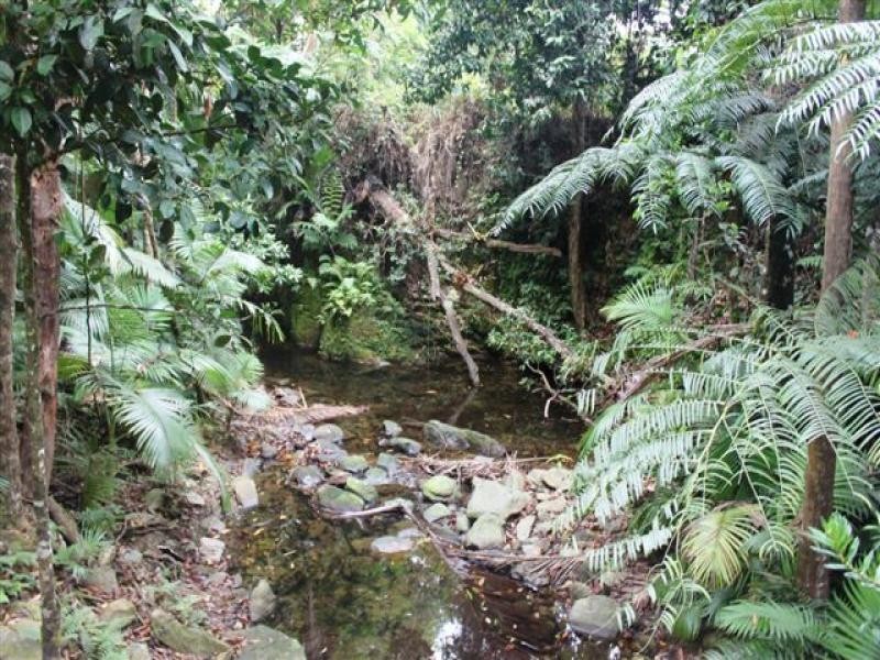 2-3 Santacatterina Rd, Miallo QLD 4873