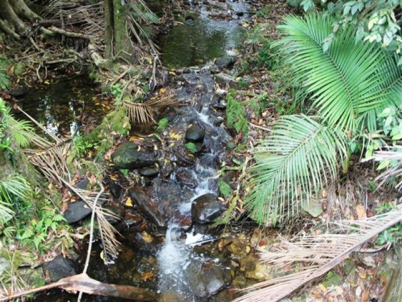 2-3 Santacatterina Rd, Miallo QLD 4873