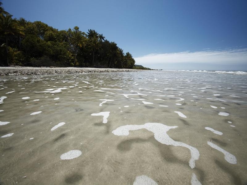 3726 CAPE TRIBULATION RD, Cape Tribulation QLD 4873