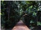 3726 CAPE TRIBULATION RD, Cape Tribulation QLD 4873