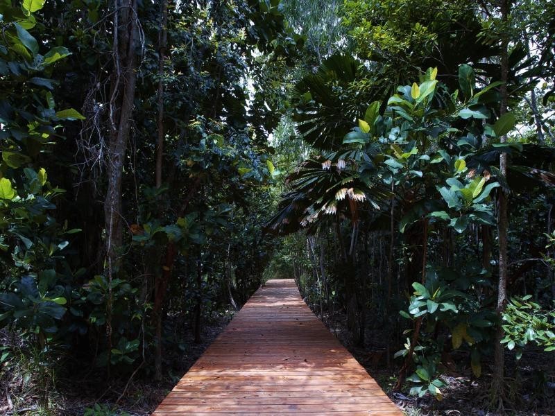 3726 CAPE TRIBULATION RD, Cape Tribulation QLD 4873