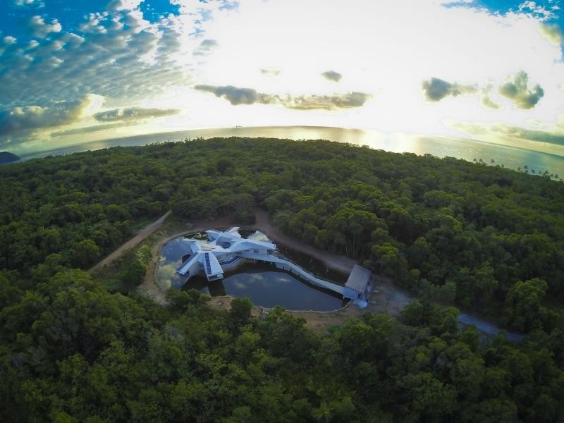 3726 CAPE TRIBULATION RD, Cape Tribulation QLD 4873