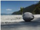 3726 CAPE TRIBULATION RD, Cape Tribulation QLD 4873