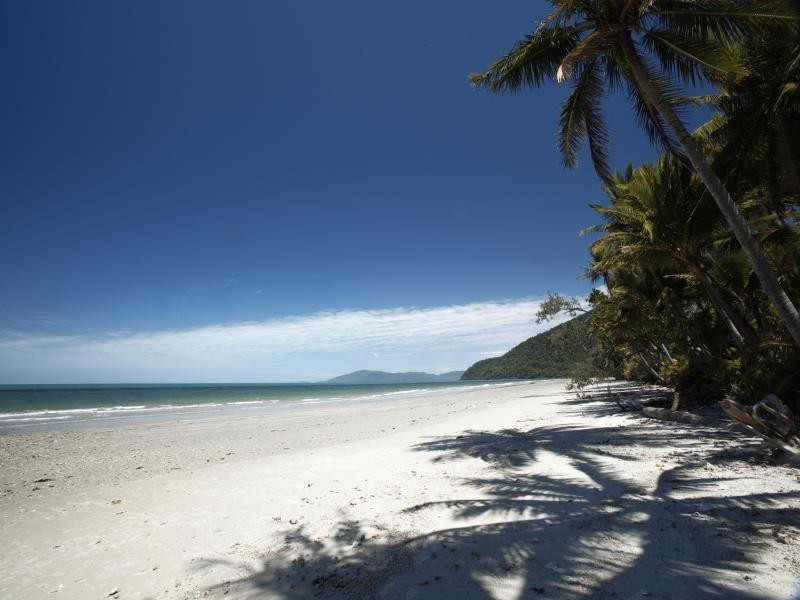 3726 CAPE TRIBULATION RD, Cape Tribulation QLD 4873