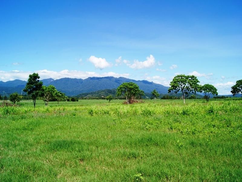 163R NEWELL ROAD, Newell QLD 4873