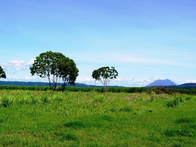 163R NEWELL ROAD, Newell QLD 4873