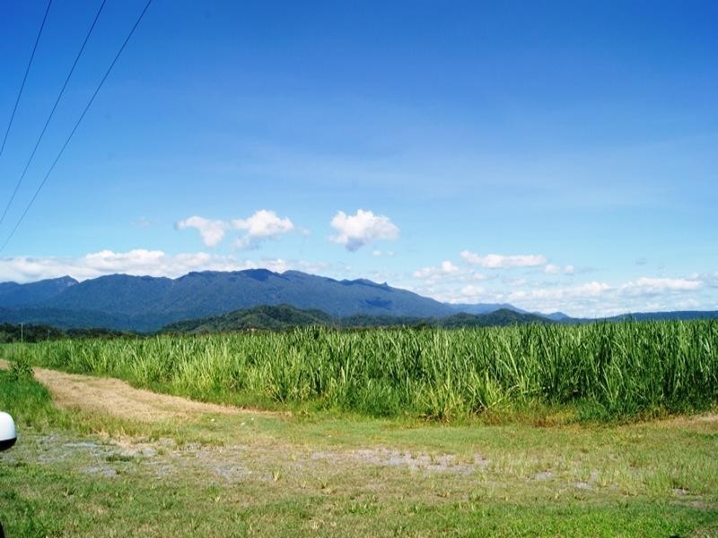 163R NEWELL ROAD, Newell QLD 4873