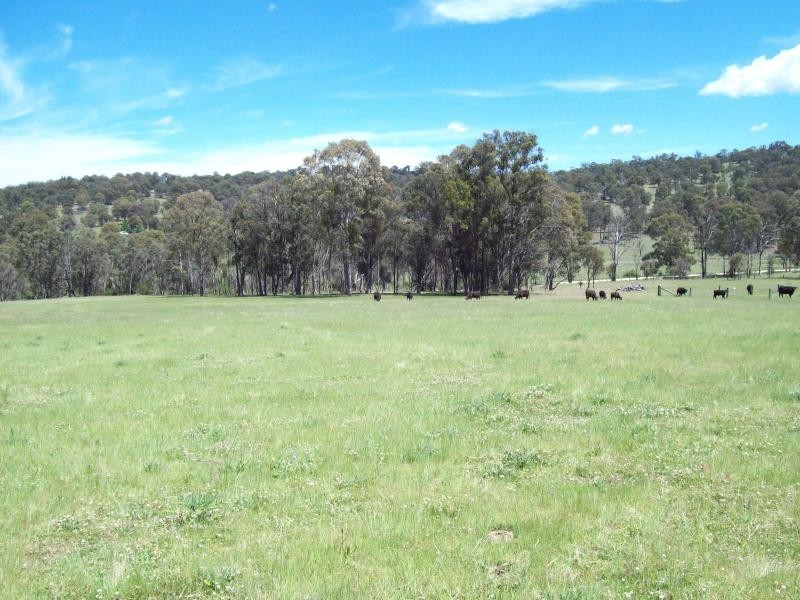 Armidale NSW 2350