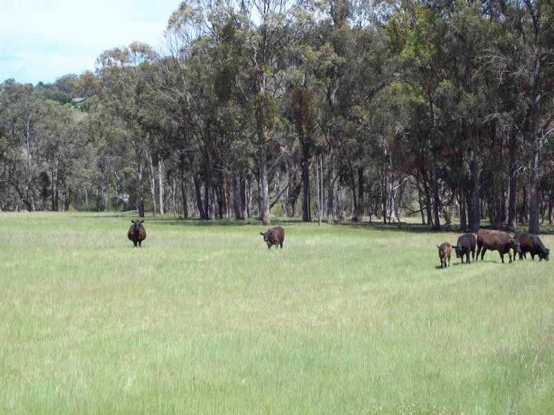 Armidale NSW 2350