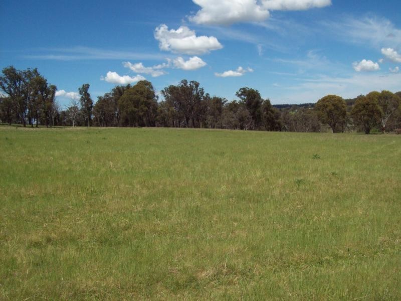 Armidale NSW 2350