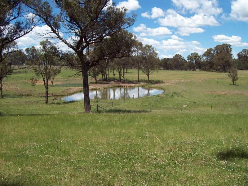 Armidale NSW 2350