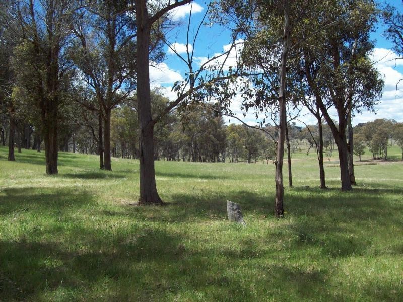 Armidale NSW 2350