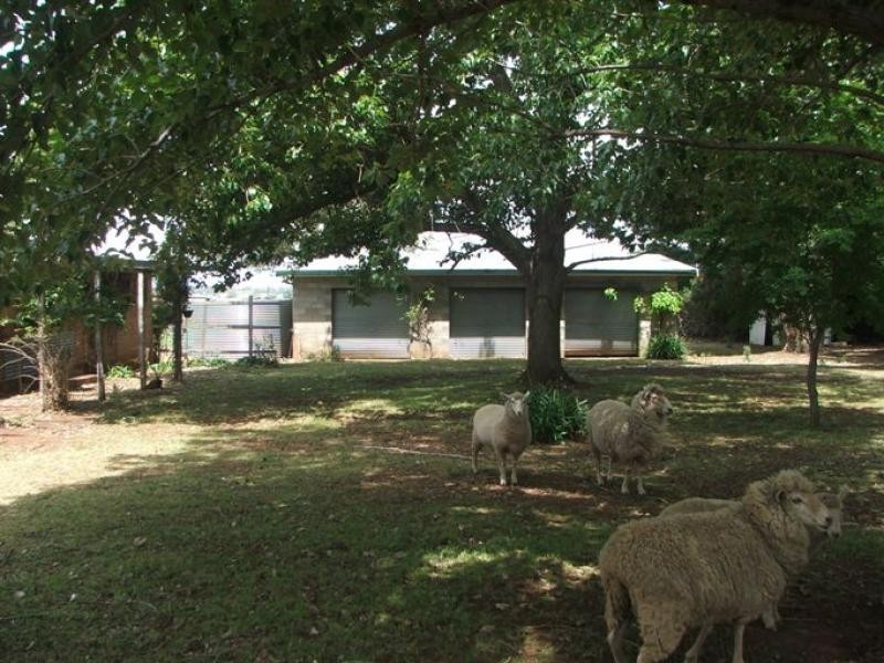 72 Marble Hill Road, Armidale NSW 2350