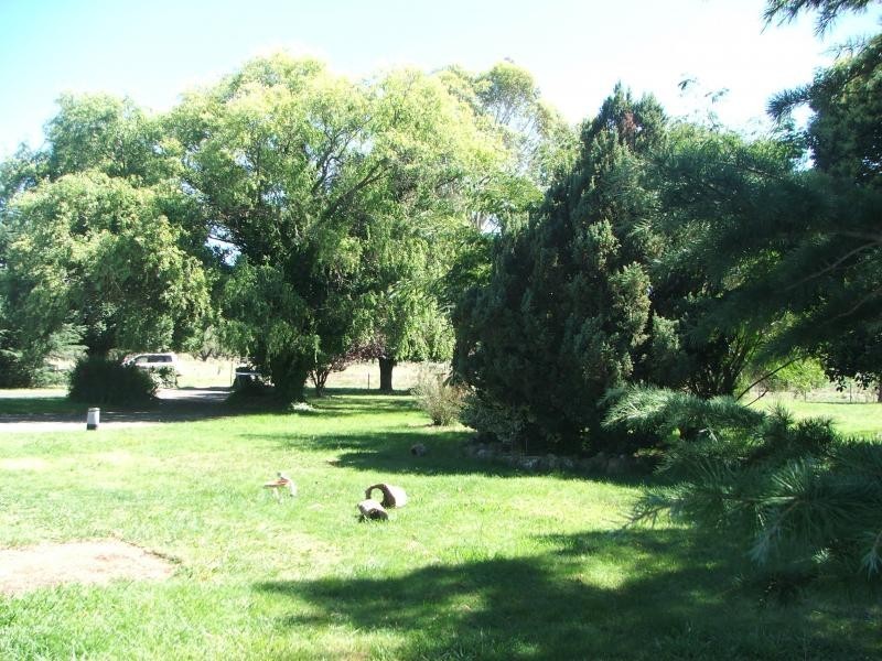 190 Sanctuary Drive, Uralla NSW 2358