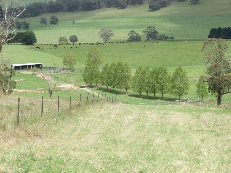 Springburn, Walcha NSW 2354