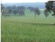 Springburn, Walcha NSW 2354