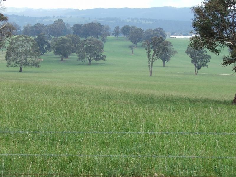 Springburn, Walcha NSW 2354