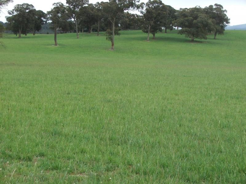 Springburn, Walcha NSW 2354