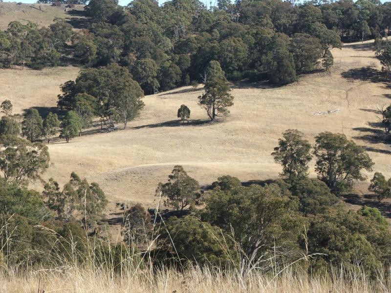 Armidale NSW 2350