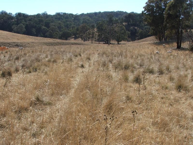 Armidale NSW 2350