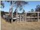 Armidale NSW 2350